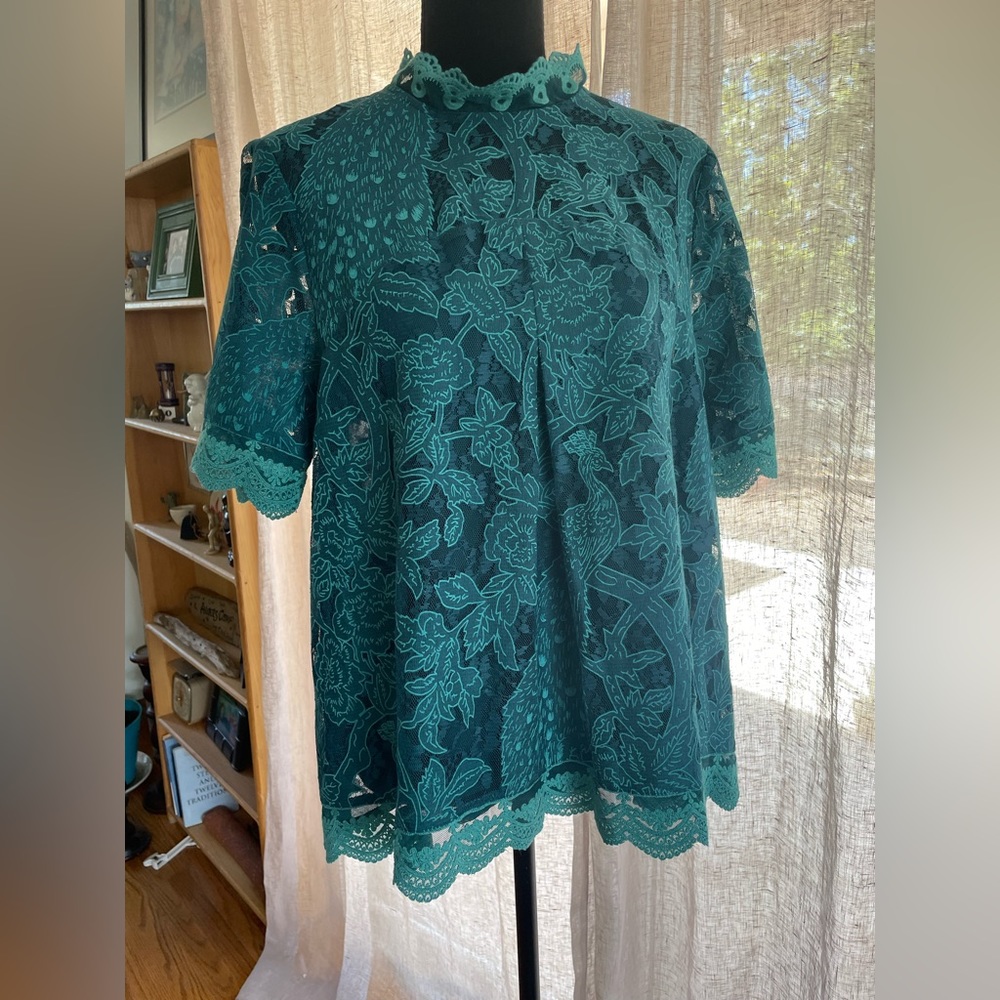 Beatiful Lace Top HD in Paris Anthropologie